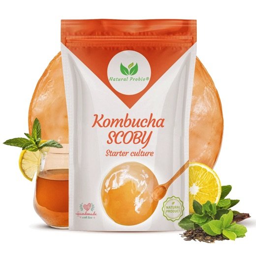 Sachet de SCOBY de kombucha Natural Probio